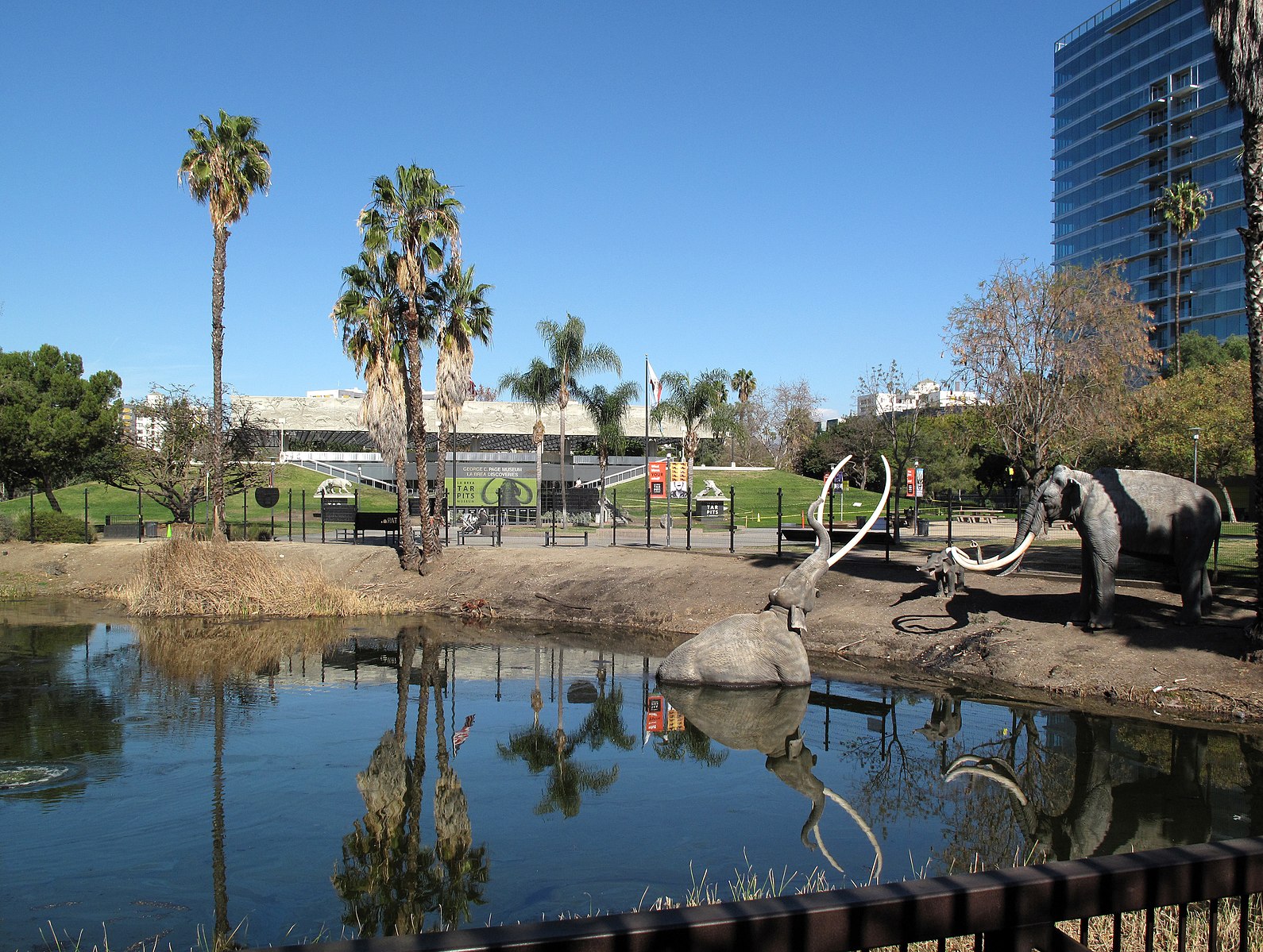 It’s official. Joint union is a go for workers at 2 Los Angeles museums