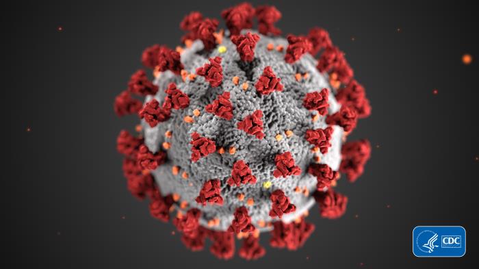 Recursos sobre el coronavirus <br />(COVID-19)