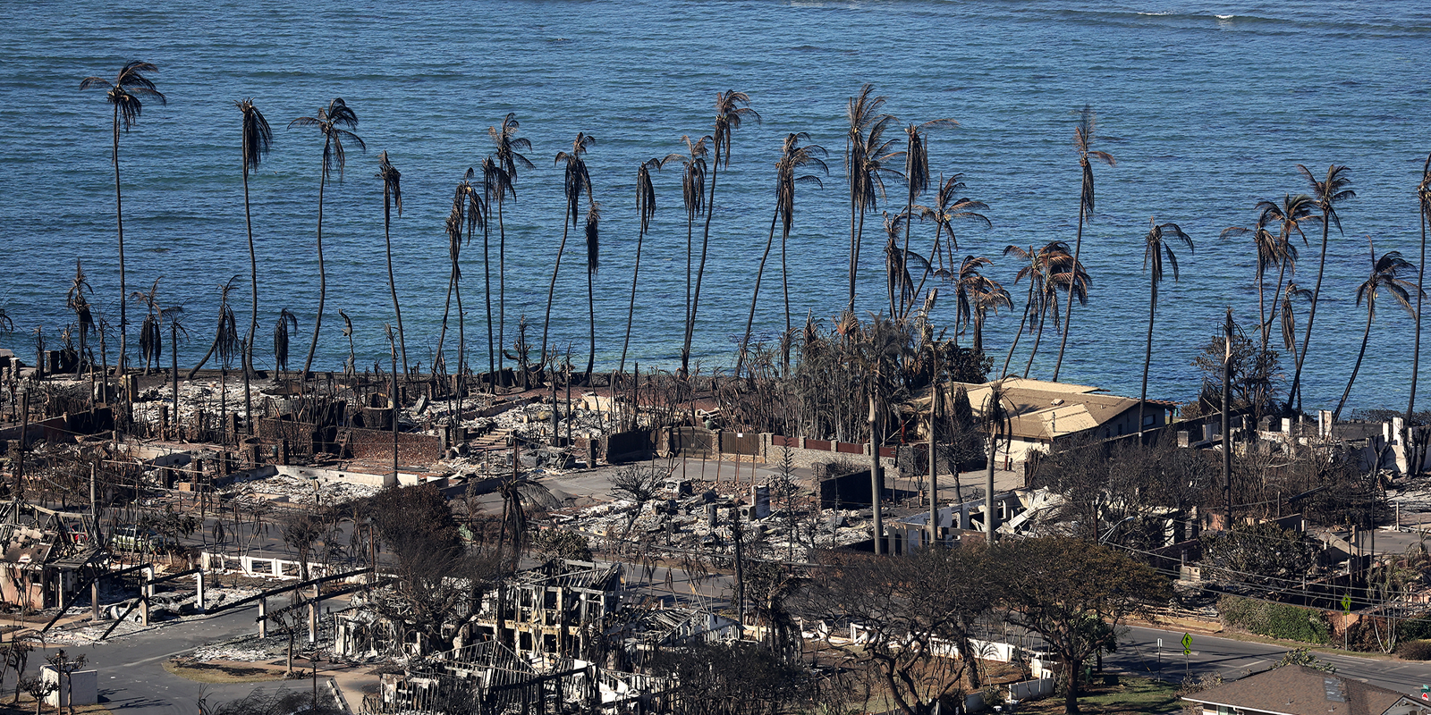 Amid tragedy, the ‘true soul of Hawaii’ shines bright