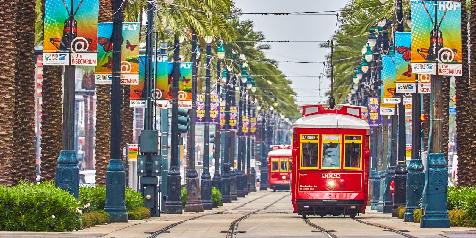 New Orleans city workers work on first contract after union rights finally protected by law