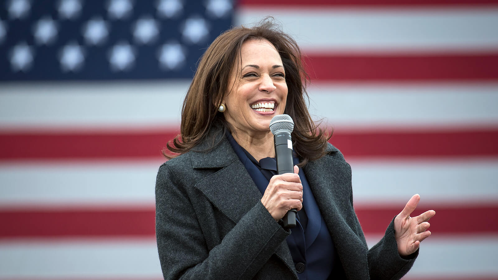 Harris urges union members to vote, show their power