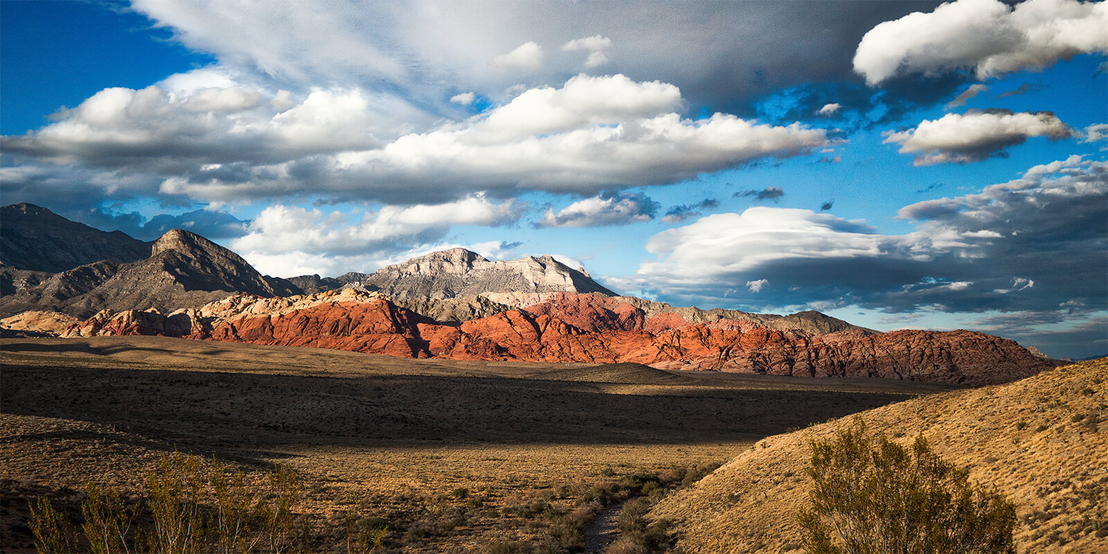 Despite Hostile Environment, Nevada State Workers Win Raises